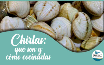 La chirlas, qué son y cómo cocinarlas