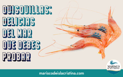 Las quisquillas: delicias del mar que debes probar