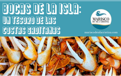 Bocas de la Isla, un tesoro de las costas gaditanas