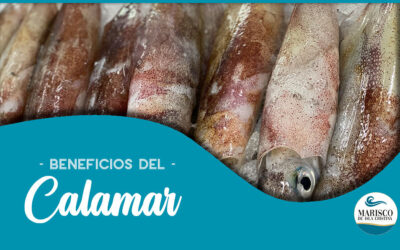 Descubre los increíbles beneficios del calamar para la salud